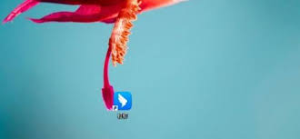 如何查看钉钉使用手册