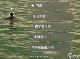 inZOI海岛假期如何购买潜水套装