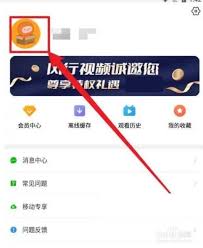 如何取消风行视频自动续费