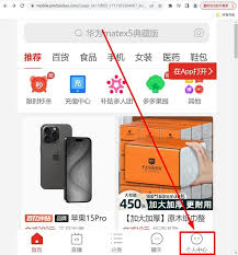 拼多多官网入口在哪