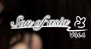 soa亚洲之子如何修改金钱