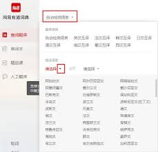 有道词典怎么进行文档翻译