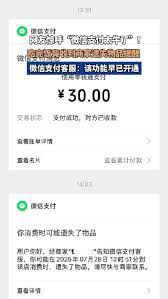 微信支付上线遗失提醒功能了吗