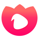 花音直播官方正版