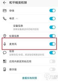 和平精英开麦后队友听不到怎么办
