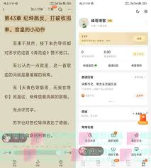 番茄小说如何免费无限享VIP