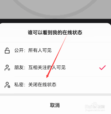 快手怎么关闭在线状态