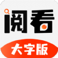阅看小说大字官网版