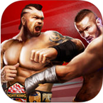 冠军格斗安卓版