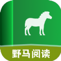 野马小说2025最新版