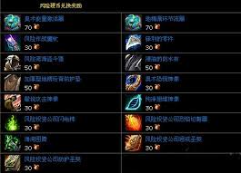 魔兽世界风险硬币有啥作用