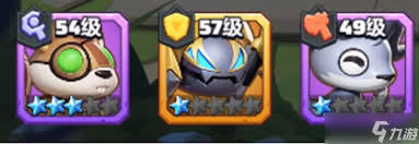 勇者联盟法师宠物怎么选