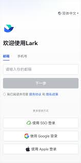 Lark动态口令如何使用