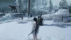 燕云十六声雪中冢任务怎么完成