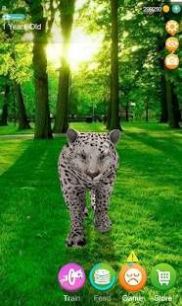 会说话的猎豹免费版