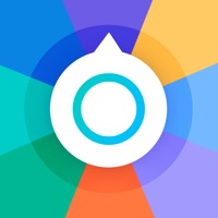 小决定和大转盘免费版