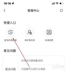 闪送如何查询处理进度