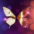 夜蝶交友全新版本