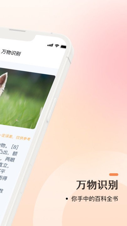 口袋识别官网版