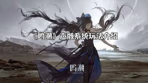 鸣潮2.4新声骸怎么快速刷