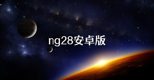 ng28安卓版